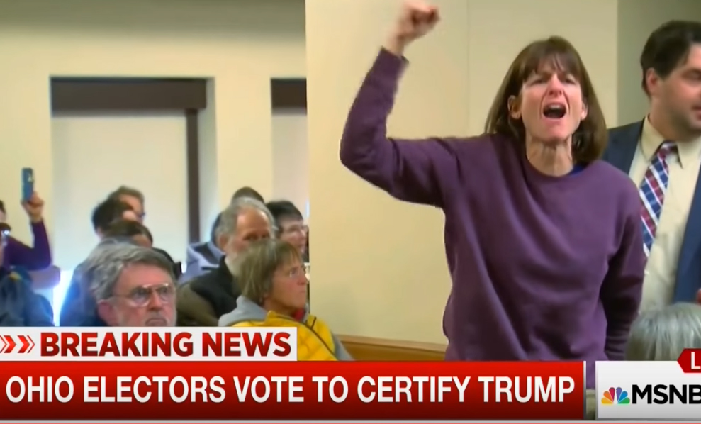 Anti-Trump Protester Goes Totally Berserk